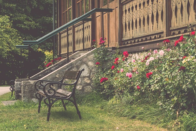 技术细节的 技术细节的