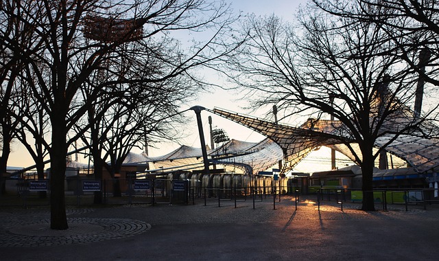 了最优解 了最优解