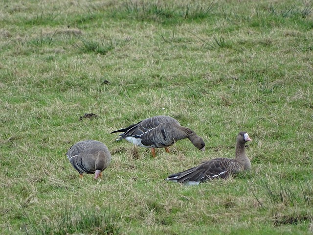 赛充满期待 赛充满期待