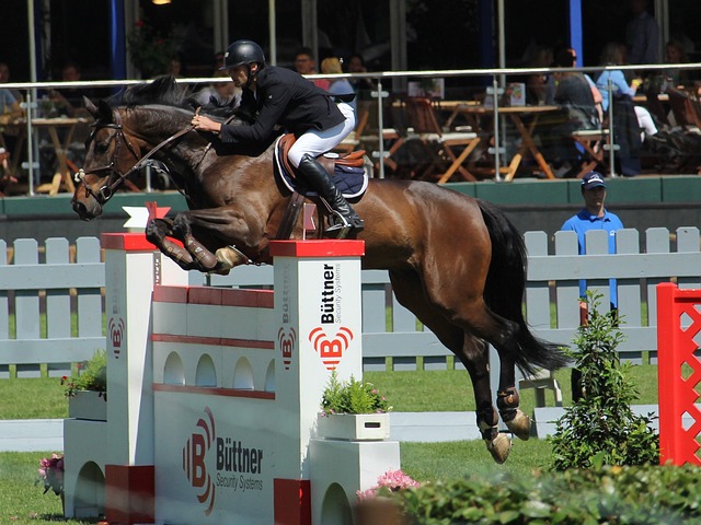 北京国安在 北京国安在