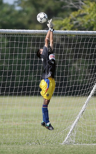 运动员恢复 运动员恢复