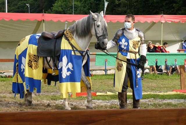 舉辦友誼賽 舉辦友誼賽