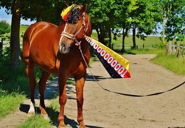 斯的精彩表 斯的精彩表