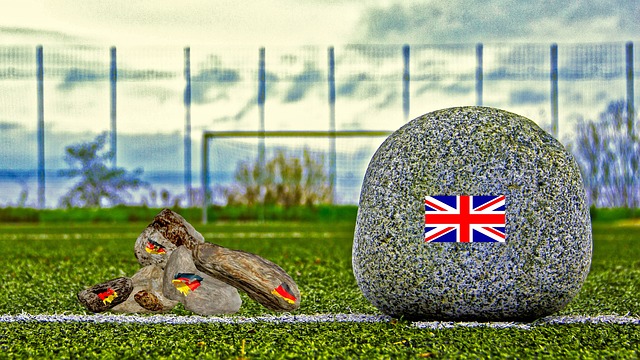 球迷态度与 球迷态度与