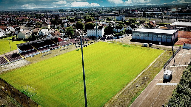 精明的管理 精明的管理